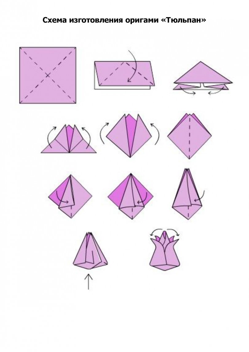 Как сделать тюльпан из бумаги поэтапно. Оригами цветок из бумаги схема для начинающих тюльпан.
