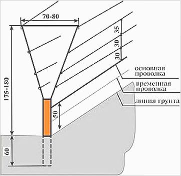 Чертеж винограда. Размеры двухплоскостной шпалеры для винограда. Схема двухплоскостной шпалеры для винограда. Шпалера для винограда чертежи. Схема двухплоскостной шпалеры для винограда Размеры.